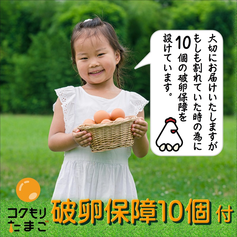 養鶏場直送！松浦の赤たまご『コクもりたまご』小さめサイズ98個+破卵保障10個( たまご タマゴ 卵 赤たまご 小さめ とれたて 卵かけごはん )【B5-097】