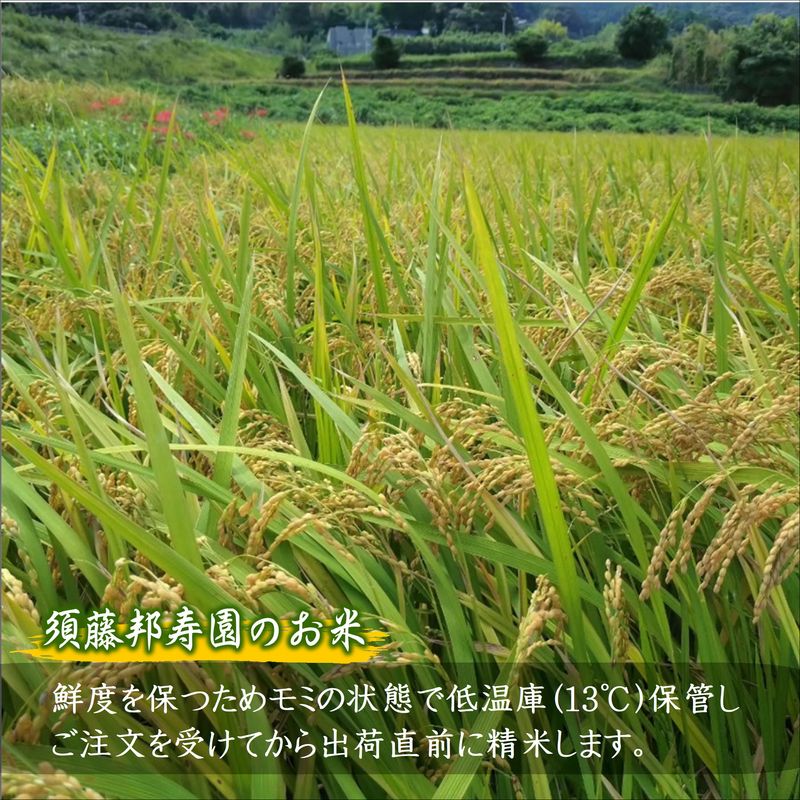 【 令和7年 新米 】須藤邦寿園の白米 夢しずく5kg( 米 コメ お米 夢しずく 5kg 5キロ 甘い 甘み 粘り精米 国産 送料無料 )【B5-128】