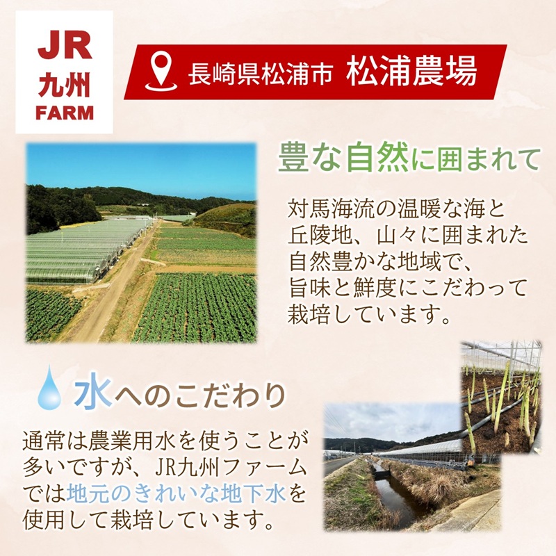 JR九州ファームのグリーンアスパラガス 3Lサイズ 1kg ( アスパラガス グリーンアスパラガス 国産 送料無料 長崎県 松浦市 )【B5-131】