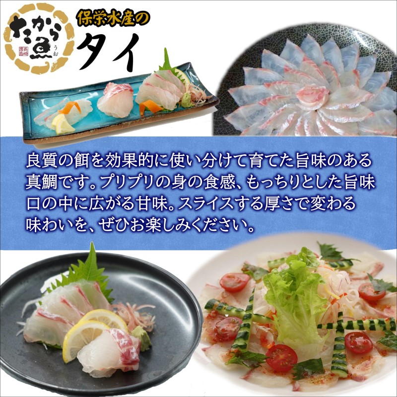 ～津本式・究極の血抜き仕立て～おいしかタイ1.2kg( 松浦 養殖 真鯛 長期熟成 津本式 究極の血抜き 保栄水産 )【B8-045】