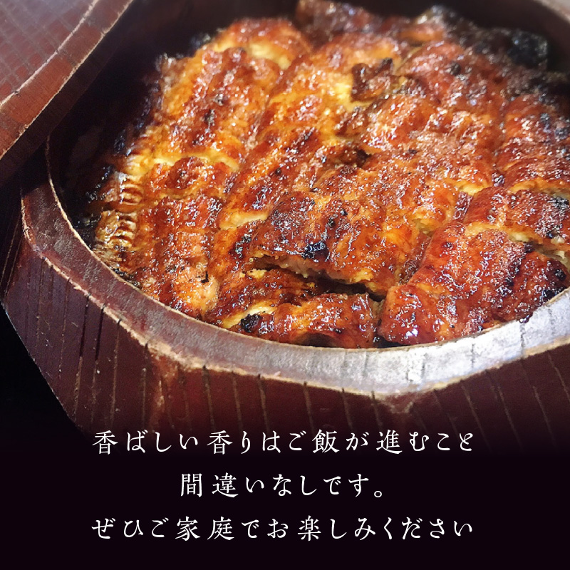 数量限定！海水かけ流しうなぎ蒲焼2尾【B5-102】