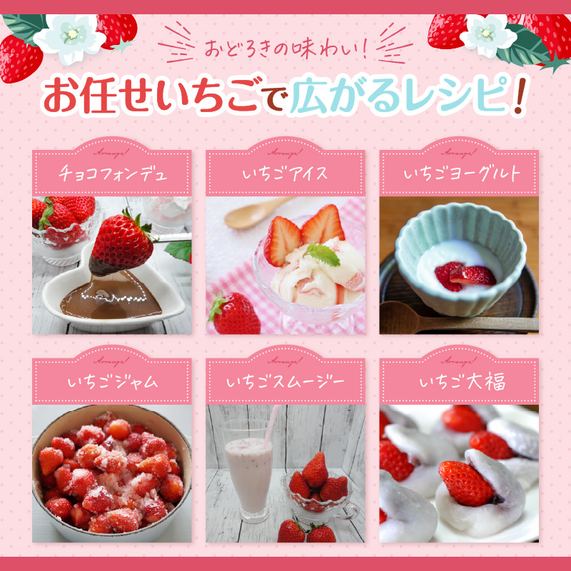 厳選大粒 こだわり苺 品種お任せ12～18粒×2パック(4月発送) ( いちご 苺 イチゴ 紅ほっぺ かおり野 さがほのか 恋みのり 果物 フルーツ )【B6-041-04M】