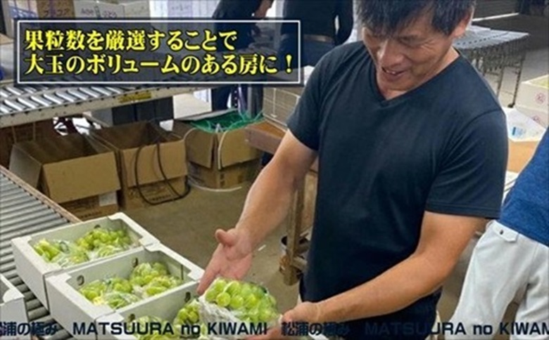 御厨ぶどうシャインマスカット4P 約1.2kg( 果物 フルーツ ブドウ マスカット 松浦産 シャインマスカット デザート 甘い 予約 )【B7-034】