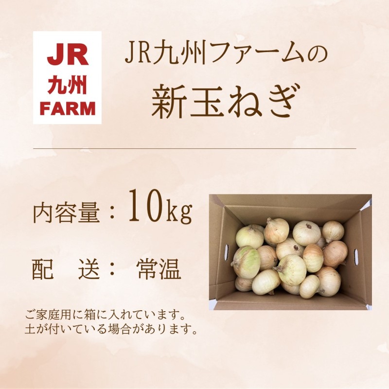 JR九州ファームの 新玉ねぎ 10kg( 玉ねぎ 甘い 野菜 新玉ねぎ 野菜 国産 送料無料 )【B7-036】