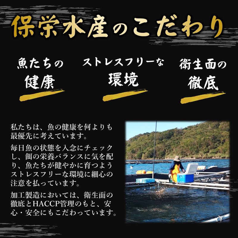 鷹島のうまかトラフグふんわり唐揚げ( トラフグ とらふぐ 唐揚げ 新鮮 簡単 漬け込み醤油 )【C0-075】