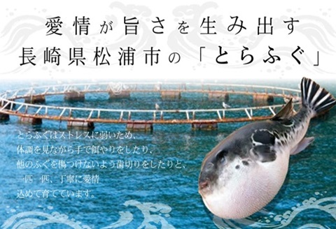 漁協直送！とらふぐちり鍋セット３～４人前【C2-040】