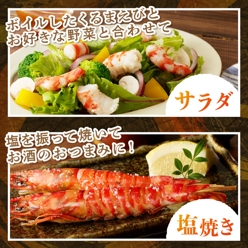 【宅配BOX不可】新松浦漁協　活きくるまえび500g（ ふるさと納税 車海老 クルマエビ 車エビ 車えび くるまえび 海老 エビ えび 海鮮 送料無料 活き車えび ）【C0-091】