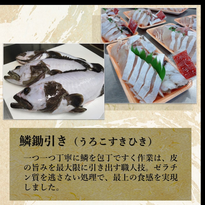 鷹島のうまかクエ鍋用(2～3人前)( 鷹島産 クエ 絶品 鱗処理済み クエ鍋 高級魚 )【C9-011】