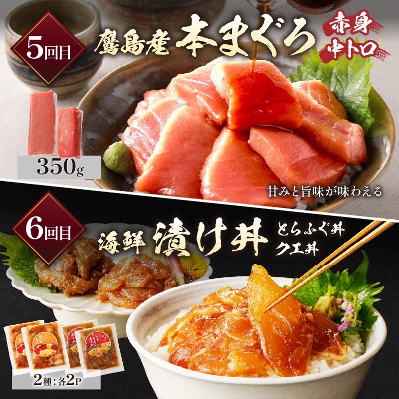 【全6回定期便】松浦堪能定期便 ( アジフライ まぐろ 肉 サバ缶 干物 みりん干し とらふぐ しゃぶしゃぶ すき焼き 海の幸定期便 美味しい 刺身 加工品 おかず )【H4-003】