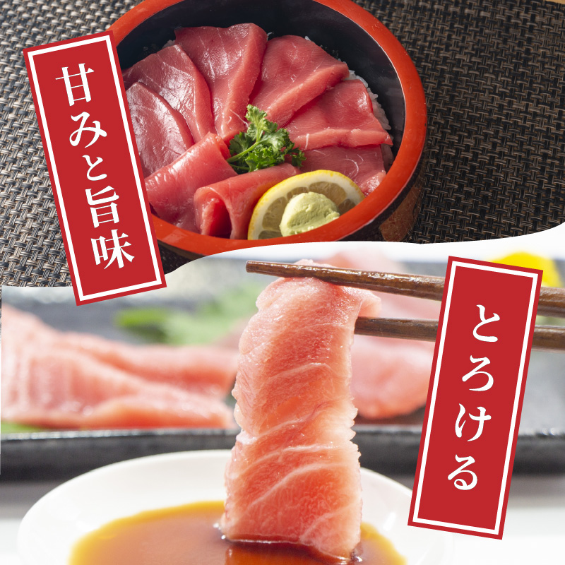 鷹島産本まぐろ定期便（1本分）【T00-001】