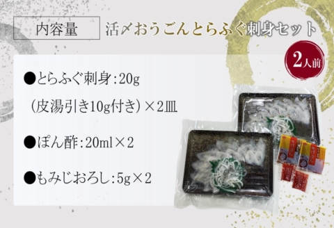 活〆おうごんとらふぐ刺身2人前セット( おうごんとらふぐ とらふぐ 高品質 高評価 刺身 )【B5-109】