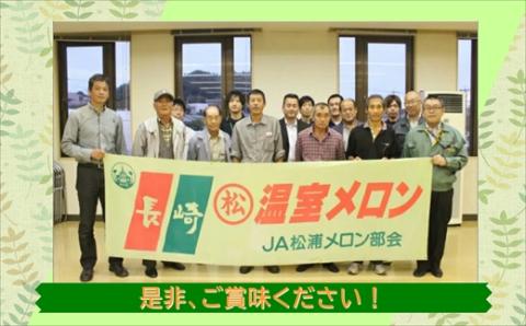 爽やかな初夏の香　キンショーメロン５ｋｇ【B3-073】