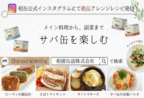 缶詰工場直送　伝統のさば缶「旬ほとぎ」味噌煮36缶【D4-015】