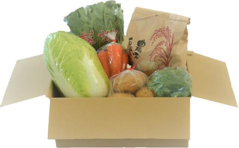 農漁村体験の聖地「松浦党の里」旬の野菜とお米(3kg)セット【B5-095】