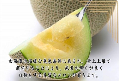 松浦アールスメロン「爽潤果(そうじゅんか)」2玉( メロン アールスメロン ブランド 人気 甘い 美味しい おいしい ギフト 期間限定 糖度14度以上 濃厚 芳醇 松浦 松浦市 長崎 長崎県 )【B4-109】