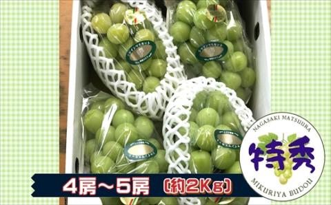 御厨ぶどうシャインマスカット(特秀)4房～5房　約2kg【C7-024】