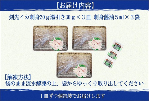 玄界灘の1本釣り　剣先イカの薄造り刺身3人前【B1-170】