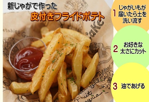 訳あり！農家直送のじゃがいも　お試し4kg ( 訳あり じゃがいも いも 肉じゃが サラダ フライドポテト カレー シチュー 煮物 )【A6-031】