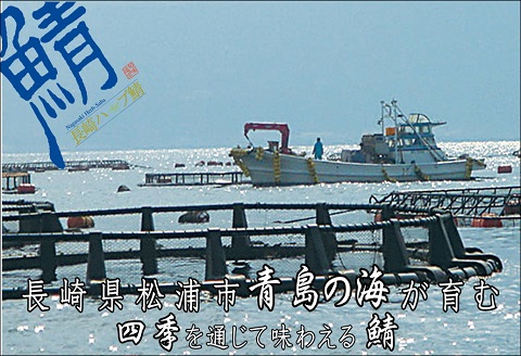 サバがこんなに美味しいなんて！長崎ハーブ鯖の「炙りしめ鯖」2枚【B3-018】