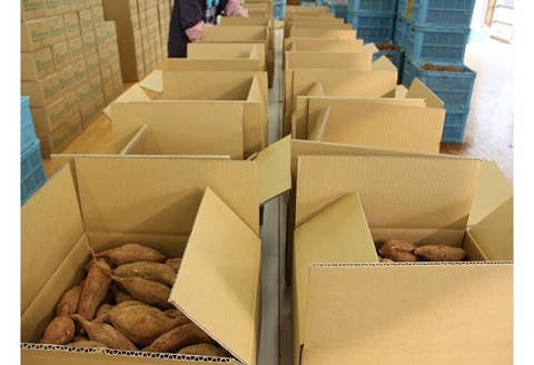 道の駅松浦直営農場産　赤土栽培「安納いも」10kg【C0-008】