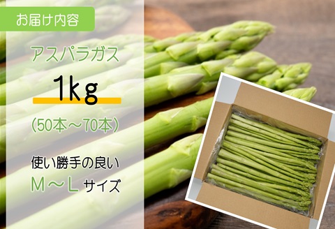 丸山農園の夏アスパラ1kg( アスパラガス アスパラ 野菜 夏野菜 やわらかい 手軽 松浦市 )【B0-162】