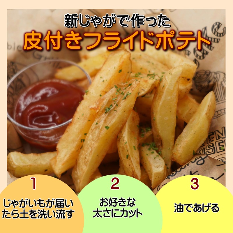 訳あり！農家直送のじゃがいも お試し3kg ( 訳あり じゃがいも いも 肉じゃが サラダ フライドポテト カレー シチュー 煮物 )【A6-042】