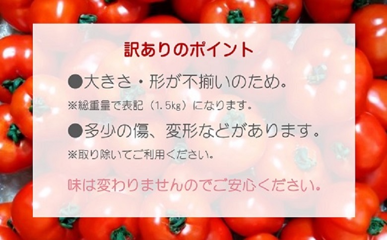 訳あり！ご家庭用に大活躍　夢追うフルティカトマト1.5㎏( トマト とまと ジューシー リコピン 期間限定 松浦市 松浦産 フルティカトマト )【A6-033】