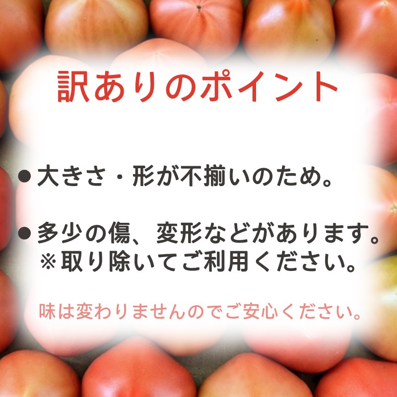 訳あり！ご家庭用に大活躍　夢追うトマト2.5kg～3kg( トマト とまと ジューシー リコピン 期間限定 松浦市 松浦産 大玉トマト 訳ありトマト )【A7-068】