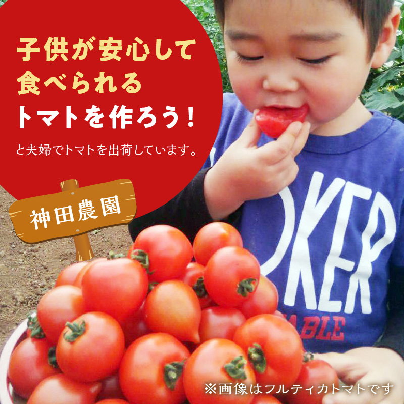 期間限定　真っ赤なトマトわけあり大容量6kg～7kg【A9-014】