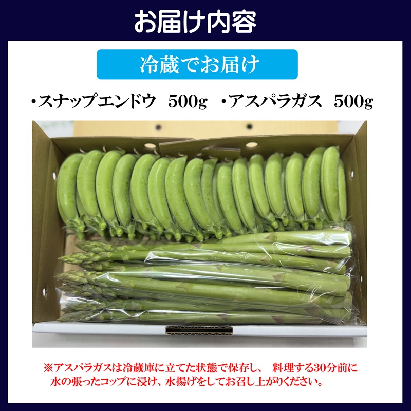 ★春をお届け3月限定★星鹿町産スナップエンドウとアスパラガス詰め合わせ1kg( スナップエンドウ スナップえんどう アスパラガス 新鮮 松浦市 )【A9-041】