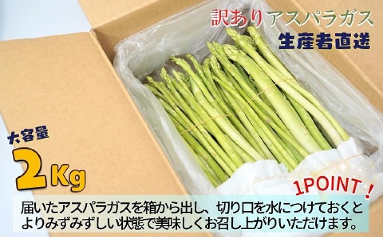 訳ありご家庭用に大活躍！僕とじいちゃんのアスパラガス2kg【B0-225】