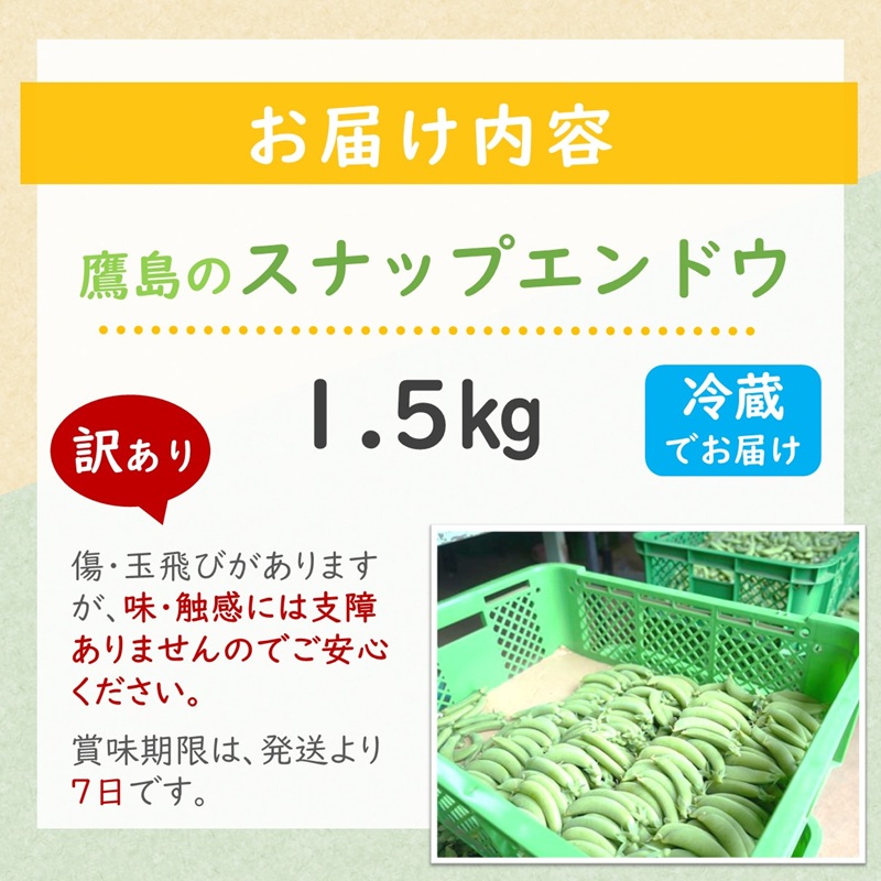 訳あり大容量！みずみずしさ弾ける!鷹島のスナップエンドウ 1.5kg ( 訳アリ えんどう エンドウ 豆 旬の野菜 野菜 新鮮 朝摘み )【B0-246】