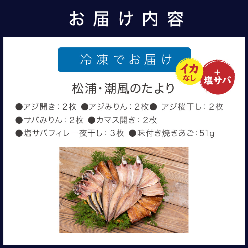 松浦・潮風のたより(イカなし＆サバ増量) ( 松浦市 サバ アジ カマス 干物 アジ開き 一夜干し 詰め合わせ )【B0-264】