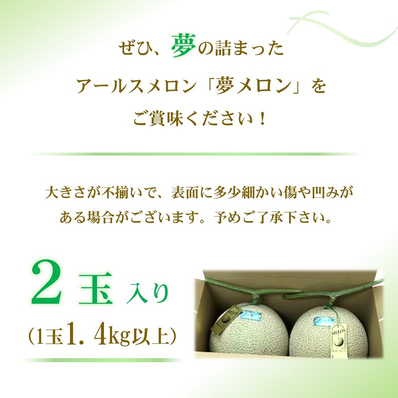 1.4㎏以上！大玉アールスメロン　夢メロン2玉入り( メロン 大玉 夢メロン アールスメロン )【B0-202】