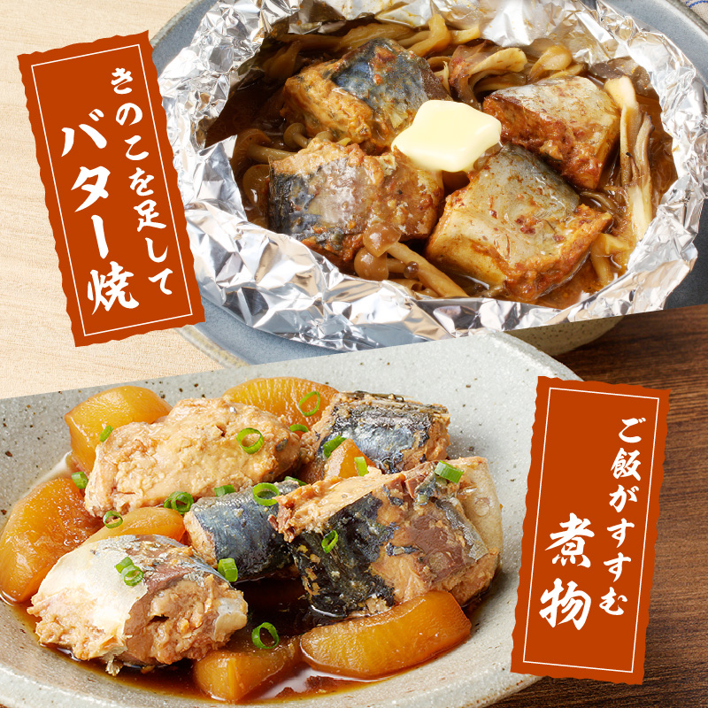 さば味噌煮缶セット(12缶)( さば サバ 鯖 さば缶 サバ缶 非常食 保存食 簡単調理 )【B3-099】