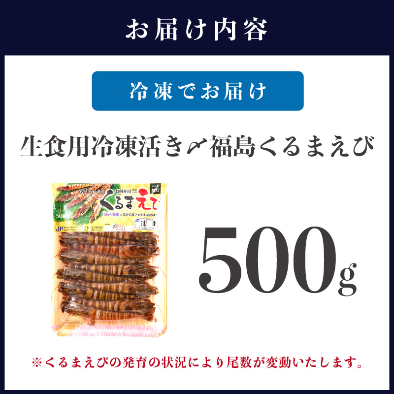 生食用冷凍活き〆福島くるまえび500g×1パック( 車エビ クルマエビ くるまえび えび エビ 海老 生食用 )【B3-087】