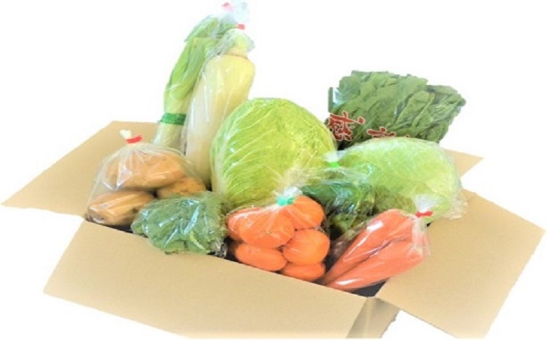 農漁村体験の聖地「松浦党の里」旬の野菜セット( 野菜 旬 旬の野菜 野菜詰め合わせ 地元野菜 地元食材 松浦産 )【B3-080】