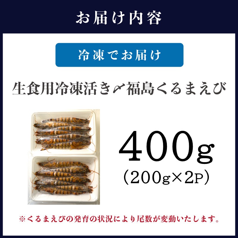 生食用冷凍活き〆福島くるまえび200g×2パック( 車エビ クルマエビ くるまえび えび エビ 海老 生食用 )【B3-086】