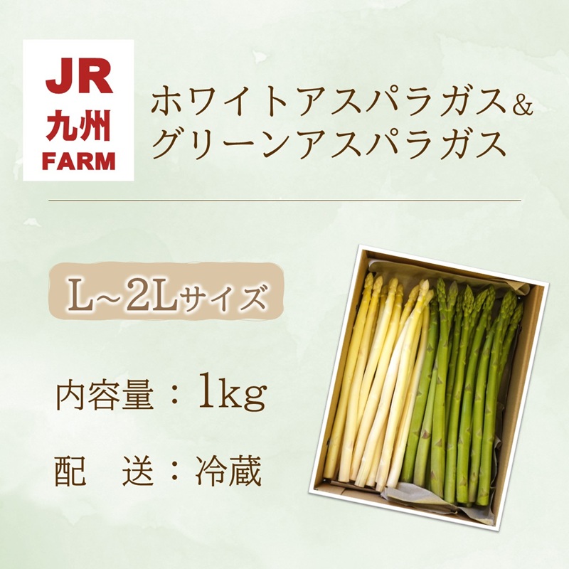JR九州ファームのホワイトアスパラガス＆グリーンアスパラガス L～2Lサイズ 1kg ( アスパラガス ホワイトアスパラガス グリーンアスパラガス 国産 送料無料 長崎県 松浦市 )【B3-102】