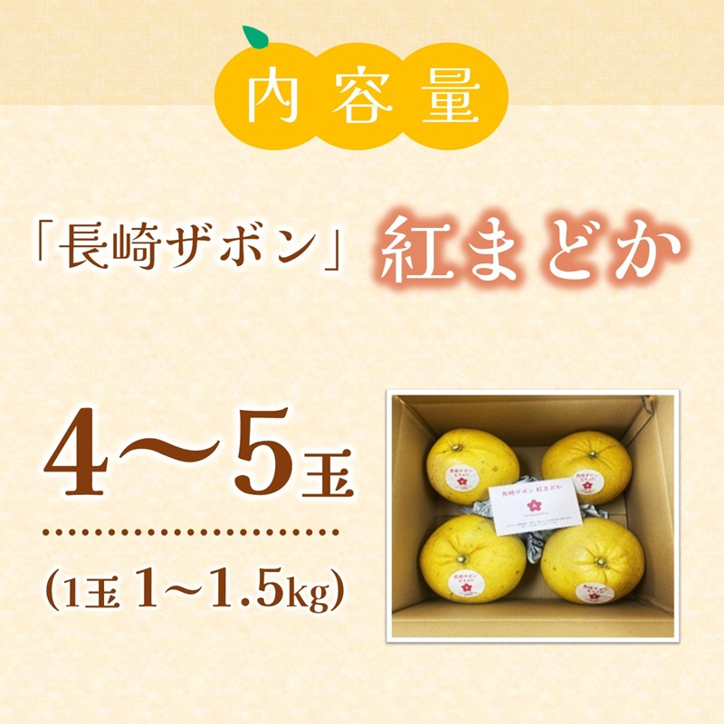 『期間限定』柑橘の王様！「長崎ザボン」果汁あふれる大きな果肉の 紅まどか(4～5玉) ( 長崎ザボン ザボン 果物 紅まどか )【B4-111】