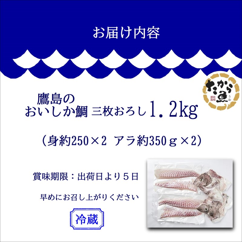 鷹島のおいしかタイ1.2kg( 鯛 お刺身 煮つけ 塩焼き 様々な料理 アラ付き )【B5-098】