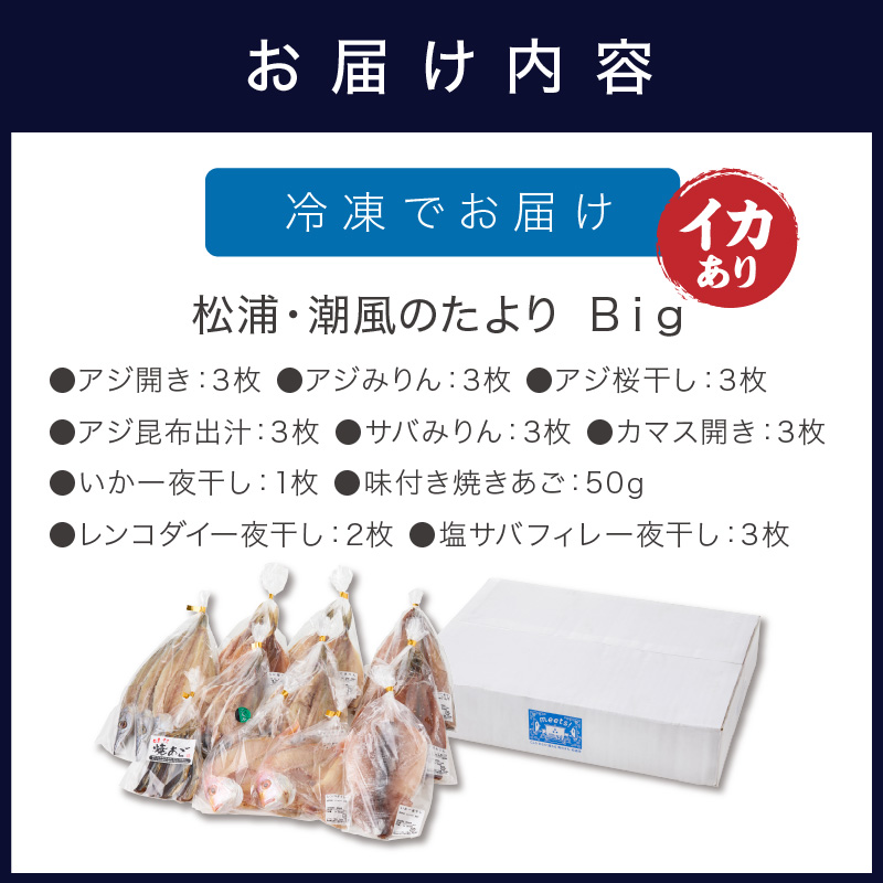 松浦・潮風のたより Ｂｉｇ(イカあり)( 松浦市 アジ イカ サバ カマス レンコダイ 干物 アジ開き サバフィレ 一夜干し 詰め合わせ )【B5-118】