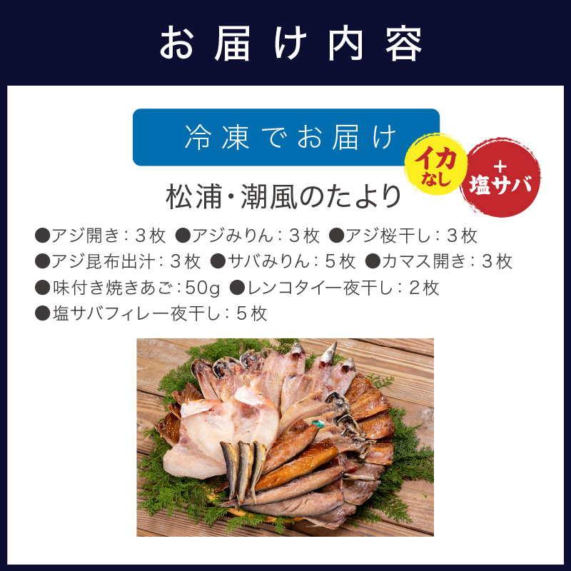 松浦・潮風のたより Ｂｉｇ(イカなし＆サバ増量) ( 松浦市 アジ サバ カマス レンコダイ 干物 アジ開き サバフィレ 一夜干し 詰め合わせ )【B5-129】