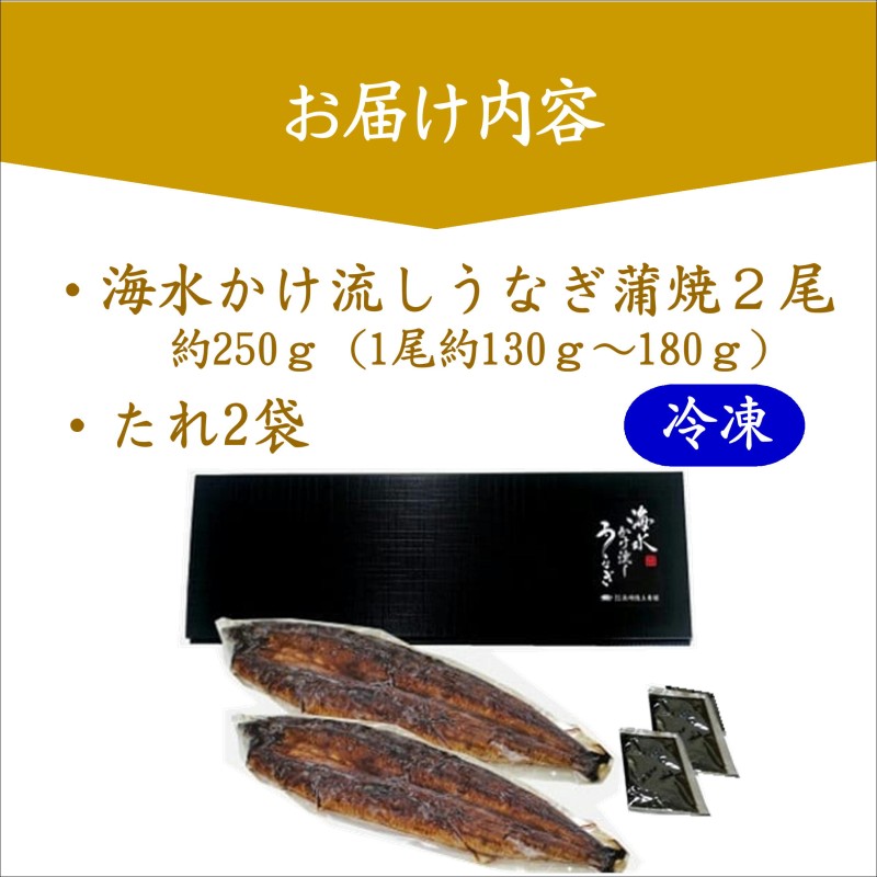 数量限定！海水かけ流しうなぎ蒲焼2尾【B5-102】