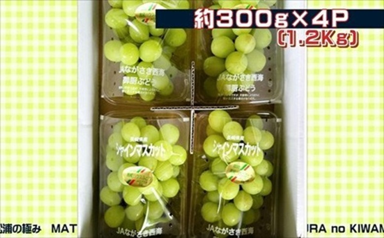 御厨ぶどうシャインマスカット4P 約1.2kg( 果物 フルーツ ブドウ マスカット 松浦産 シャインマスカット デザート 甘い 予約 )【B7-034】