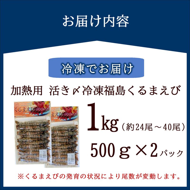 加熱用 活き〆冷凍福島くるまえび1kg(500g×2パック)( 車エビ クルマエビ くるまえび えび エビ 海老 加熱用 )【C0-098】