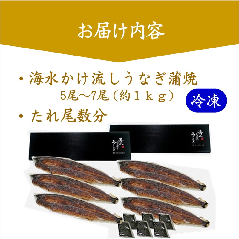訳あり大容量！海水かけ流しうなぎ5尾～7尾【F0-016】