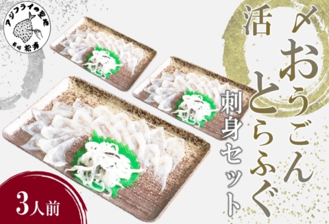 活〆おうごんとらふぐ刺身3人前セット( 長崎県産 おうごんとらふぐ とらふぐ とらふぐ刺身 高品質 )【C1-044】