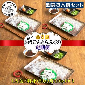 【全3回定期便】活〆おうごんとらふぐ刺身3人前セット( 定期便 海鮮 とらふぐ 刺身 )【G3-005】