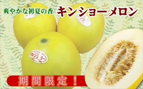 爽やかな初夏の香　キンショーメロン５ｋｇ【B3-073】